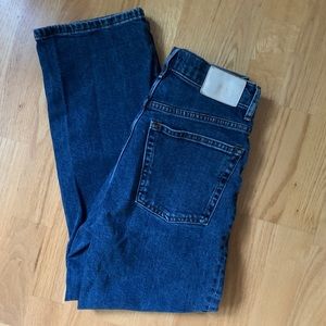 Everlane The Way-High Jean, Size 25